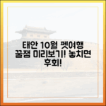 반려동물 동반 태안 여행, 10월엔 무엇이 기다릴까요?