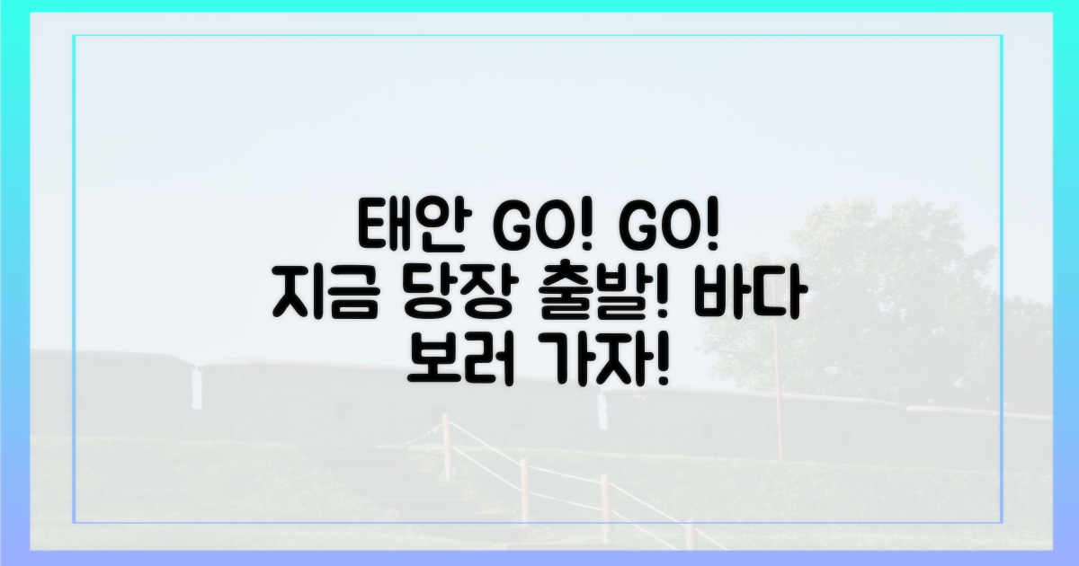 지금 바로 태안으로 떠나요!