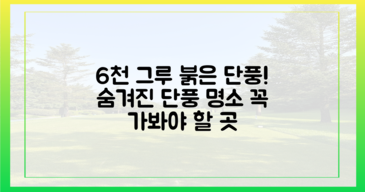 6천 그루 붉은 단풍, 어디일까?