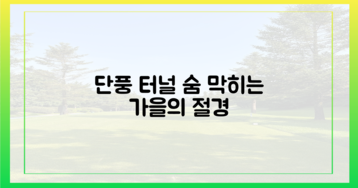 단풍 터널, 얼마나 아름다울까?
