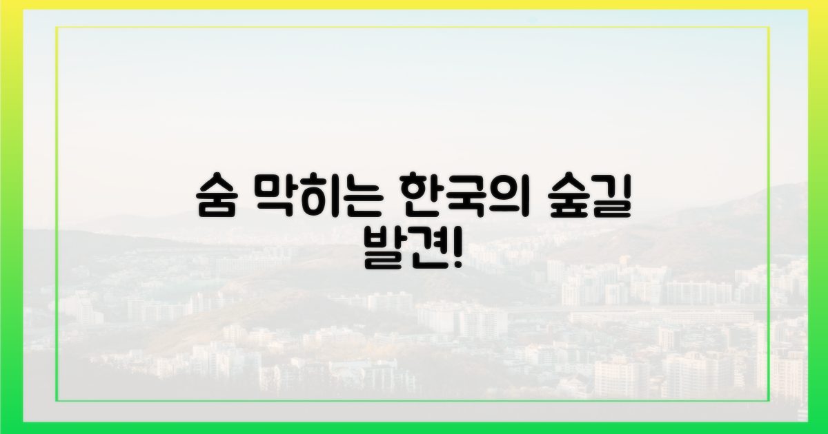 한국에 이런 숲길이?