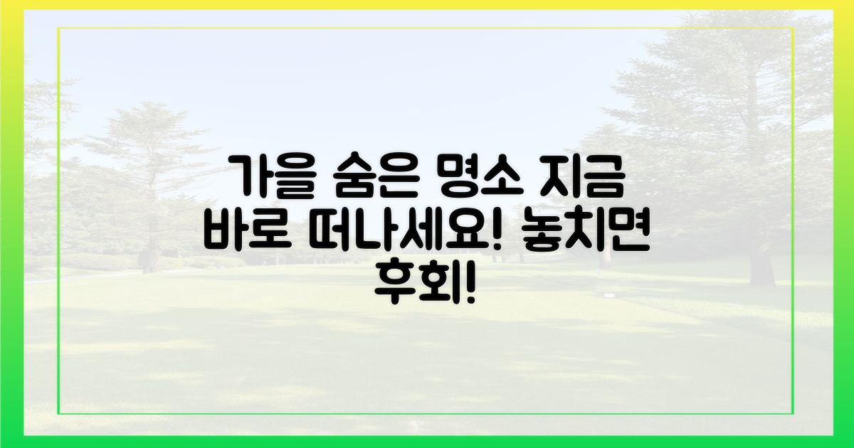 숨겨진 가을 명소, 당신을 기다립니다.
