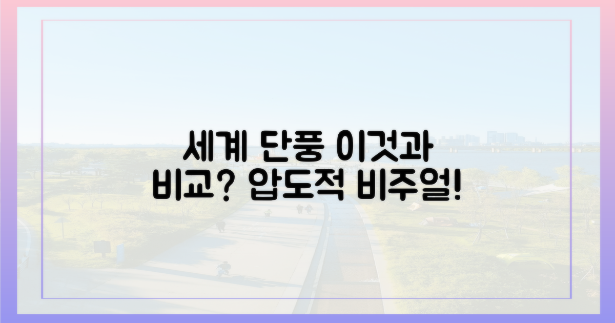 세계 단풍과 비교하면?