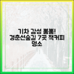 경춘선숲길 7곳, 기차 감성 책&커피 여행