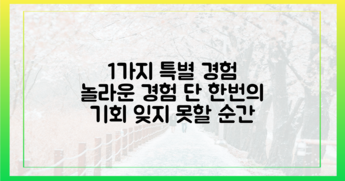 1가지 특별 경험