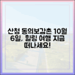여행하세요, 산청 동의보감촌! 10월 6일, 떠날 준비 되셨나요?