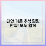 태안군 가을 추석, 누구나 힐링 만끽!