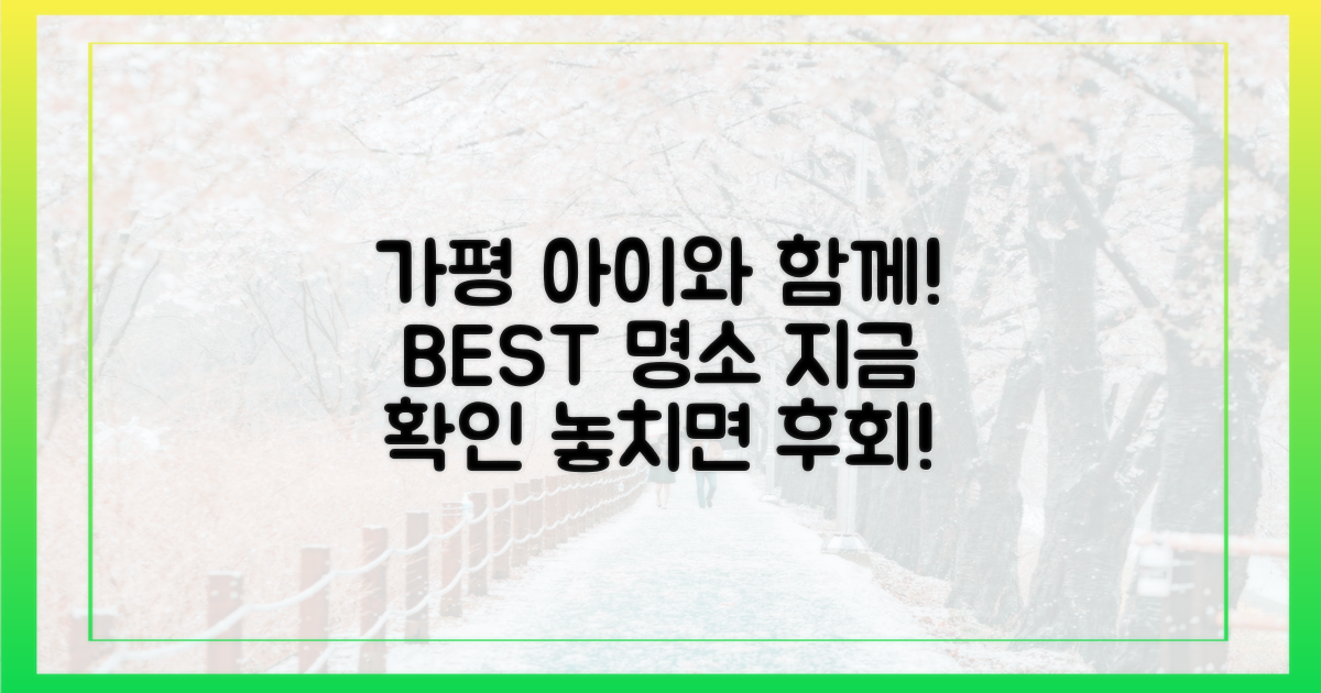 아이와 함께할 가평 명소, 지금 확인하세요