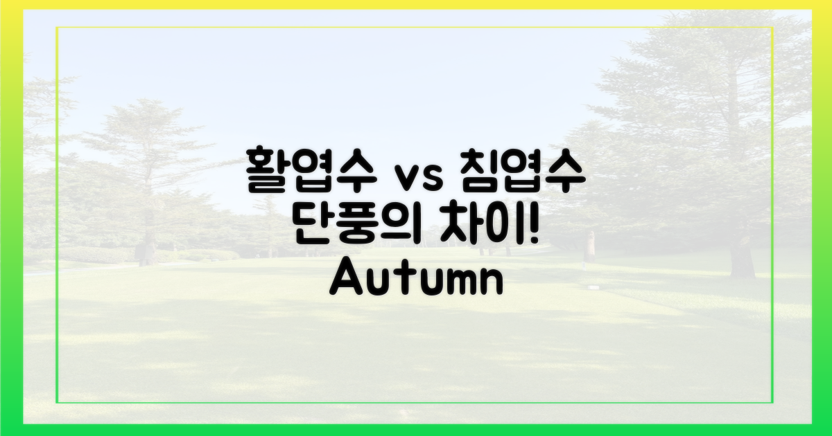 활엽수 vs 침엽수 단풍