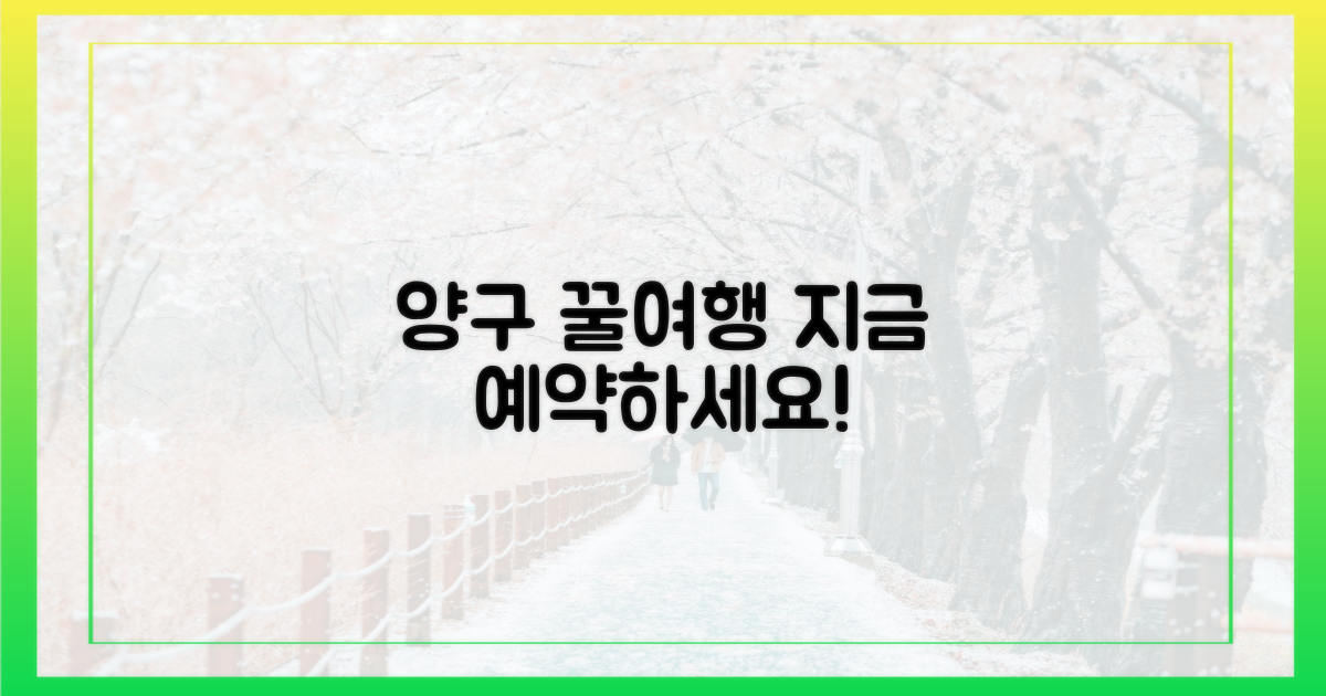 지금 바로 양구 꿀여행을 예약하세요!