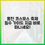 추석 홍천 서석코스모스 축제 완벽 가이드