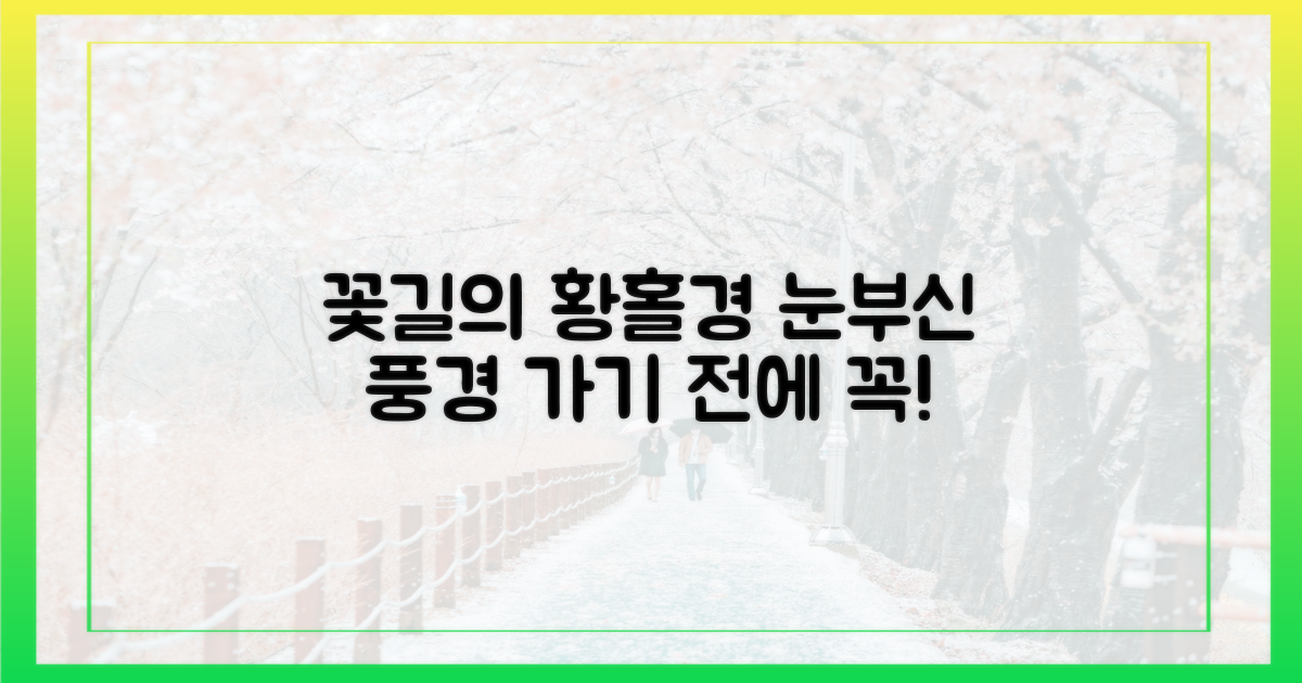 황홀한 꽃길, 무엇을 볼 수 있나?