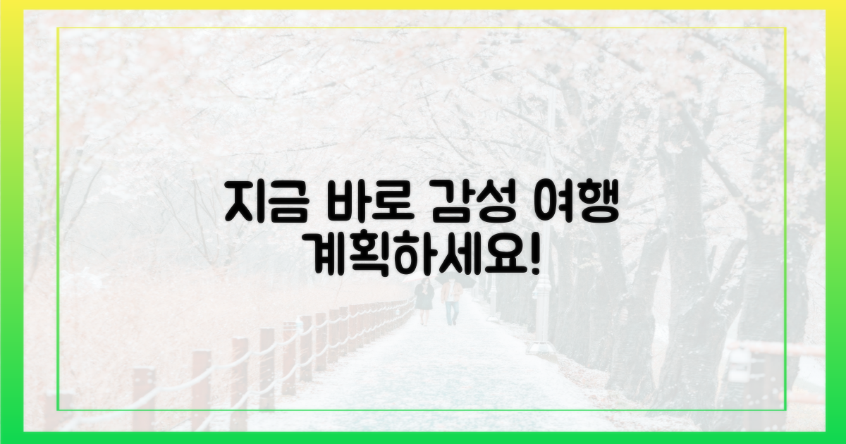 감성 여행, 지금 바로 계획하세요!