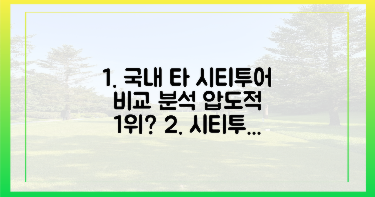 국내 타 시티투어와 비교 분석