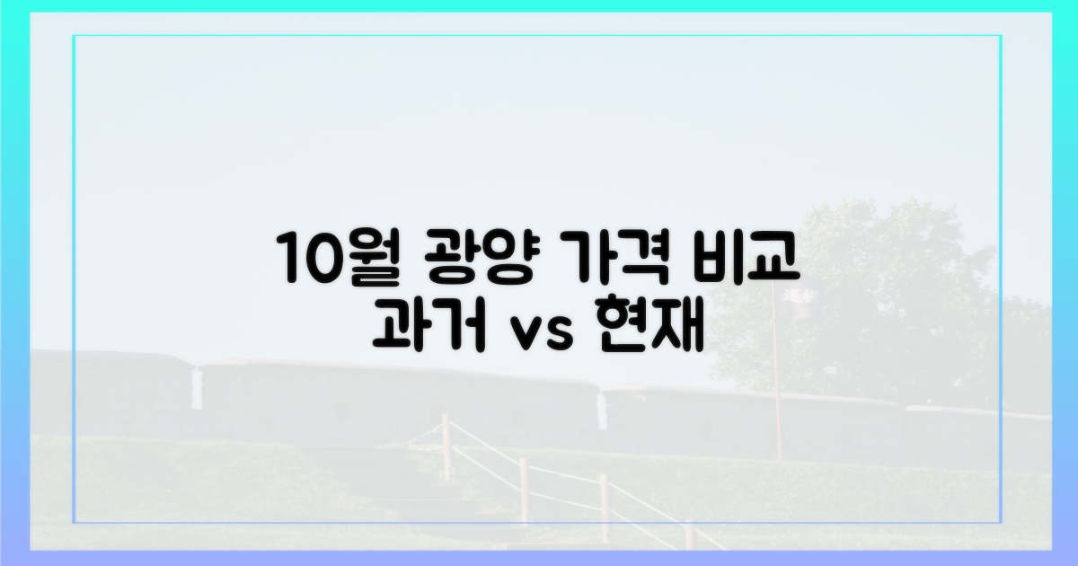 10월 광양, 과거와 현재 가격 비교
