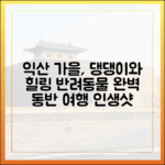 익산 가을 여행: 반려동물과 함께 완벽 가이드