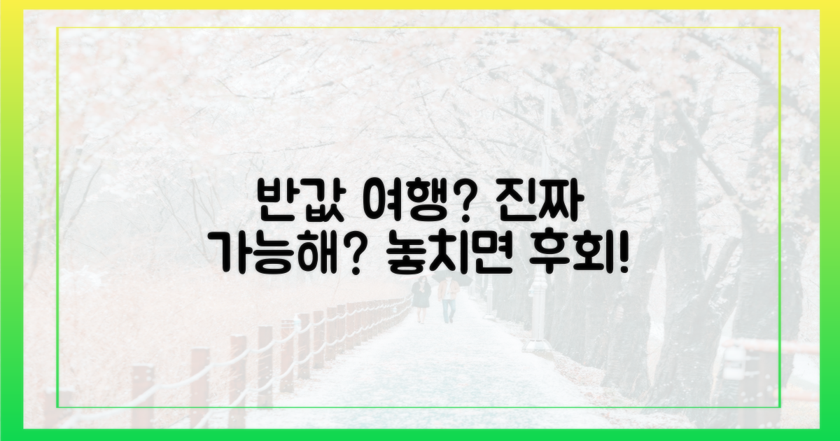 반값 여행, 정말 가능할까?