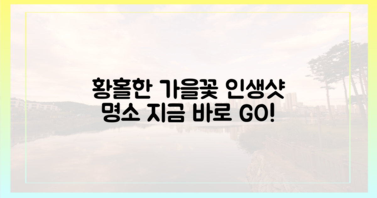 황홀한 가을꽃, 인생샷 명소