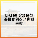 다시 온() 유성온천 여행주간 완벽 가이드