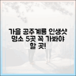 공주·계룡, 가을 여행 5곳 추천!