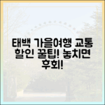 태백 가을여행, 교통 할인받는 법 궁금하세요?