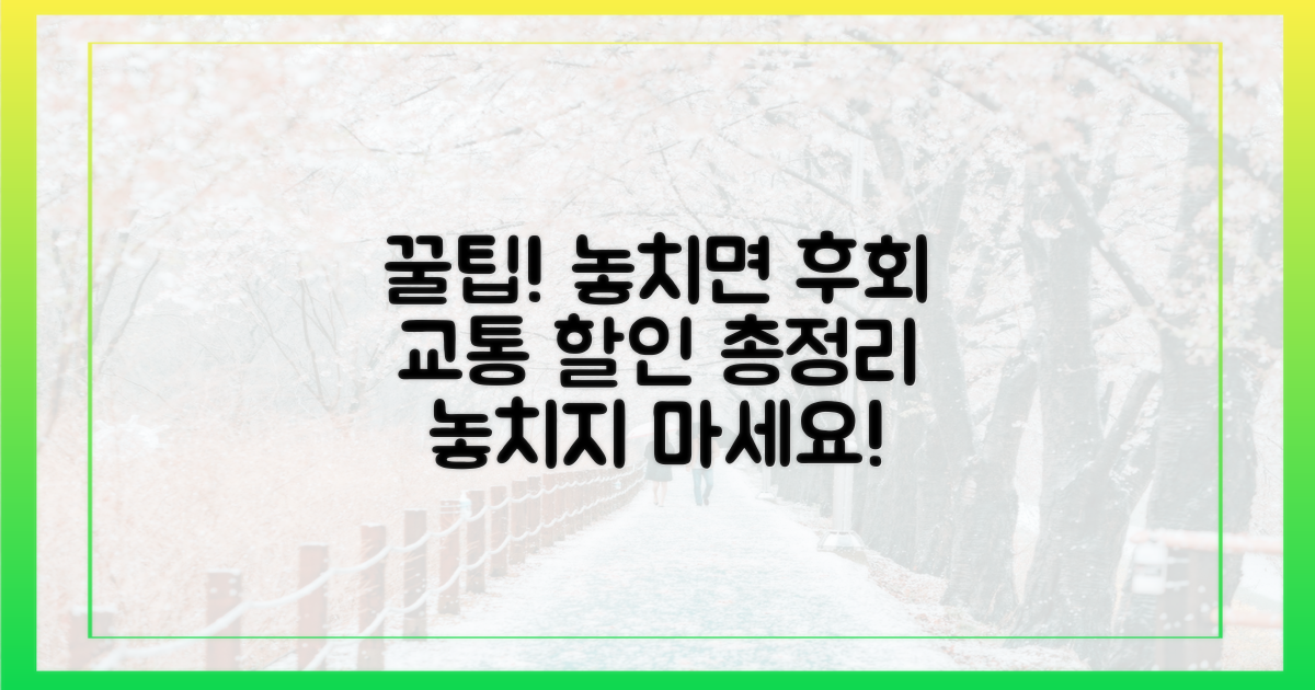 놓치면 후회할 교통 할인 꿀팁!