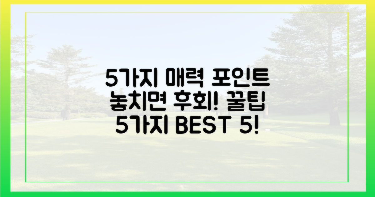 5가지 매력 포인트