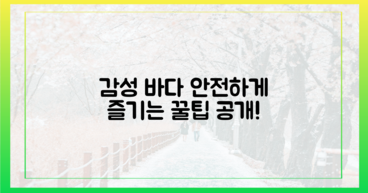 감성 바다, 안전하게 즐기는 법?