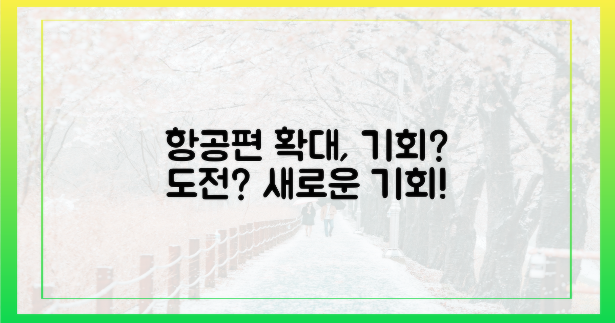 항공편 확대, 기회 vs 도전